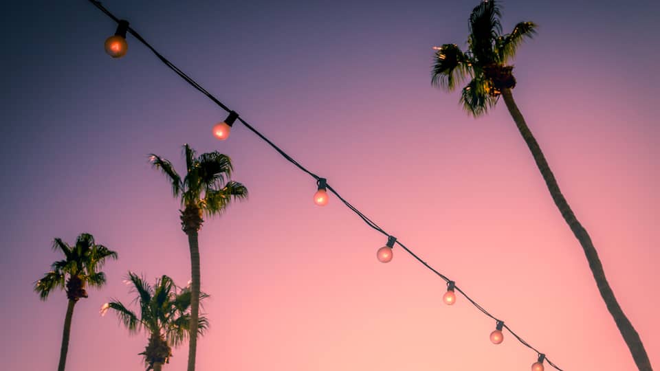 A string of lights against a sunset sky with palm trees.