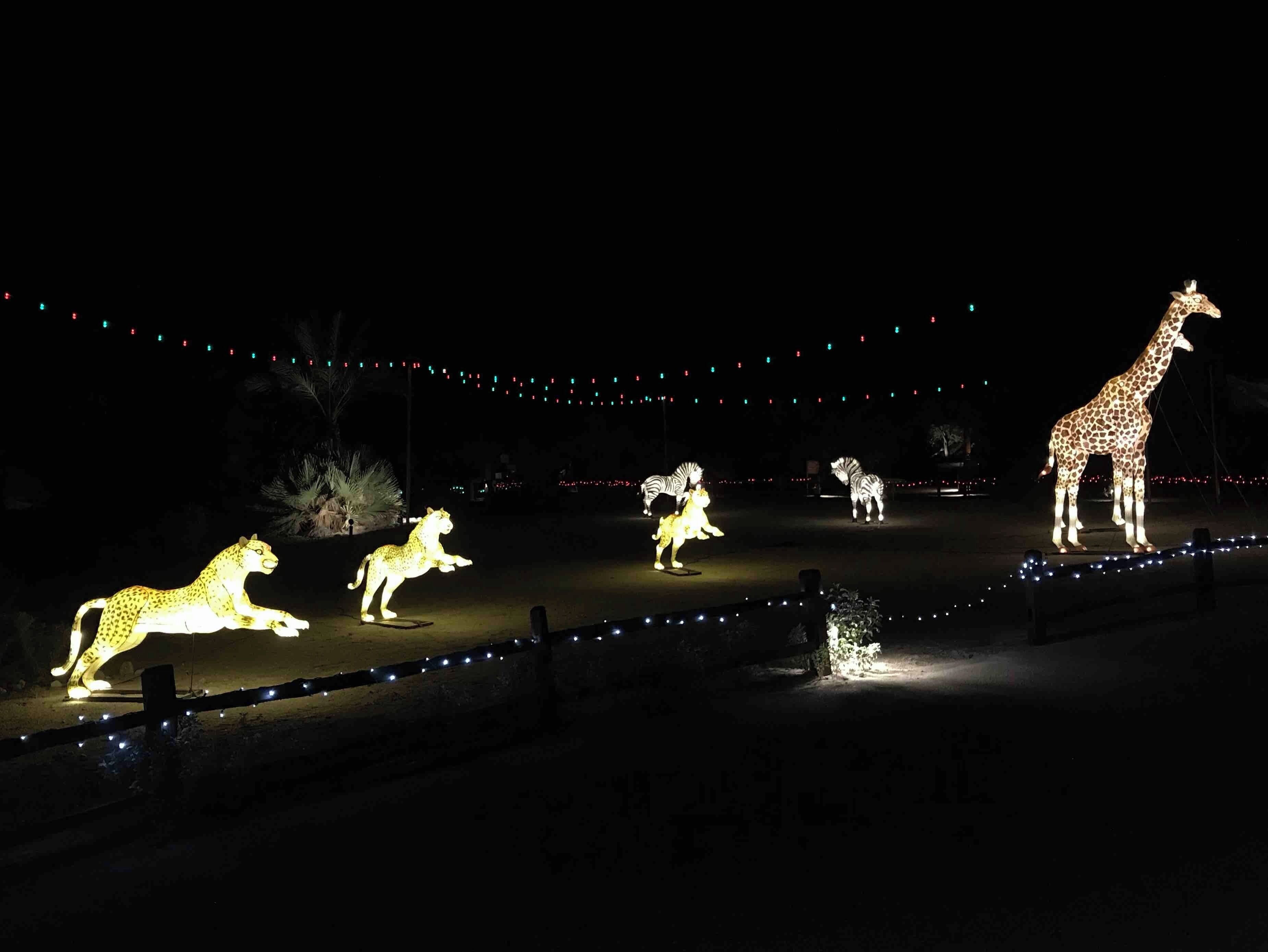 If you’re in the Palm Springs area near Christmas time, you must check out “Wild Lights” at The Living Desert. The beautiful lights completely transform the zoo. This is a great experience for all ages.