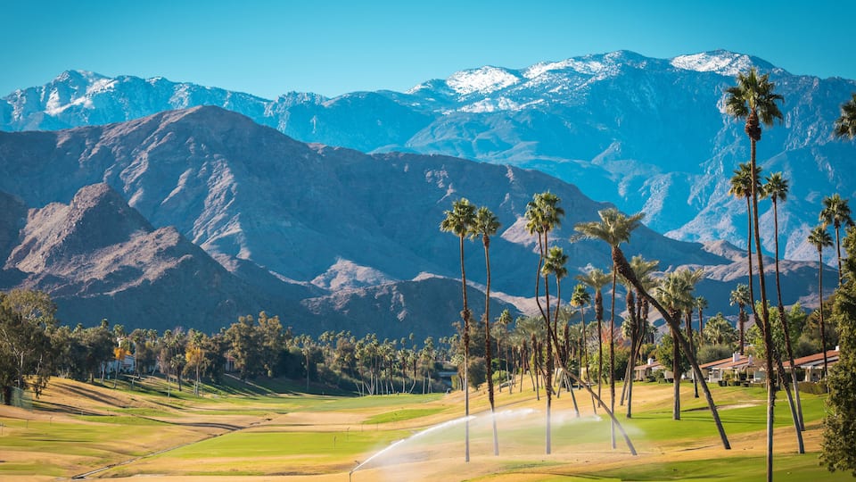 A golf course with palm trees and mountains in the background.
