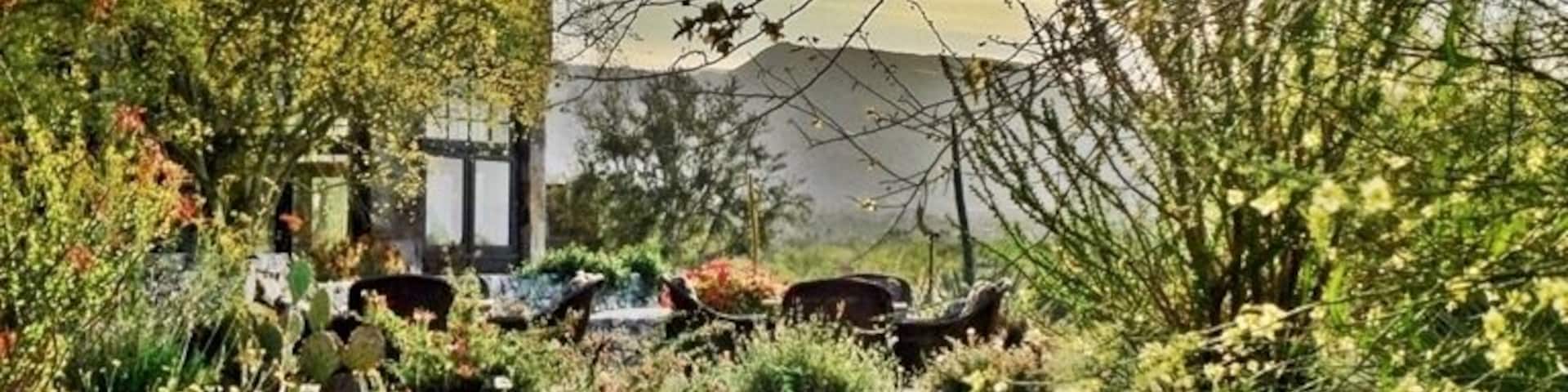 Springtime at the Reserve