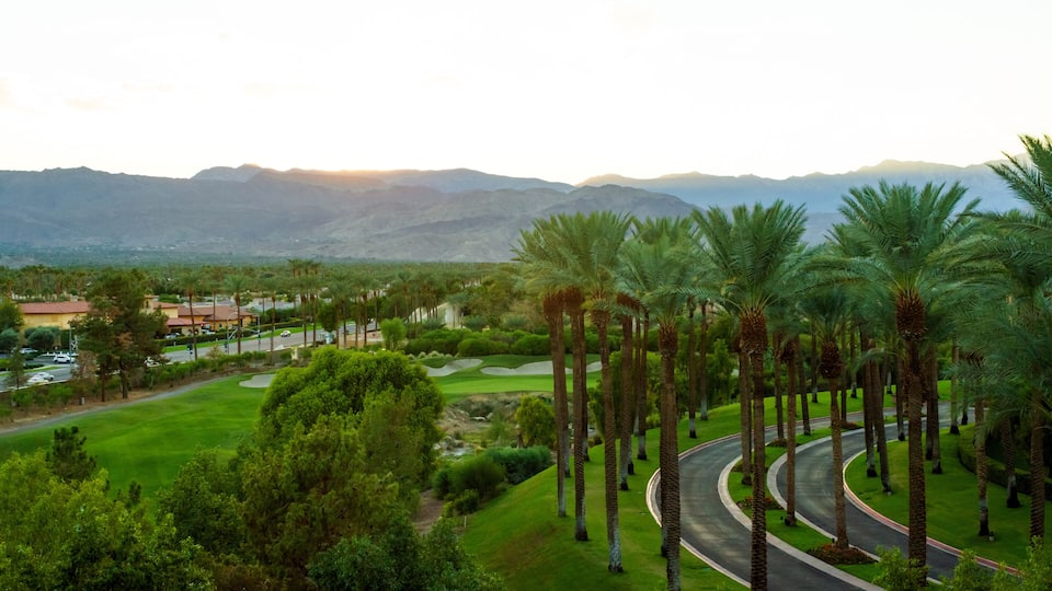 A golf course with palm trees, a winding road, and mountains in the background.