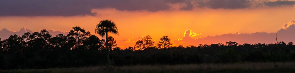 Sunset at Pine Glades Natural Area, Jupiter, Palm Beach County, Florida, USA