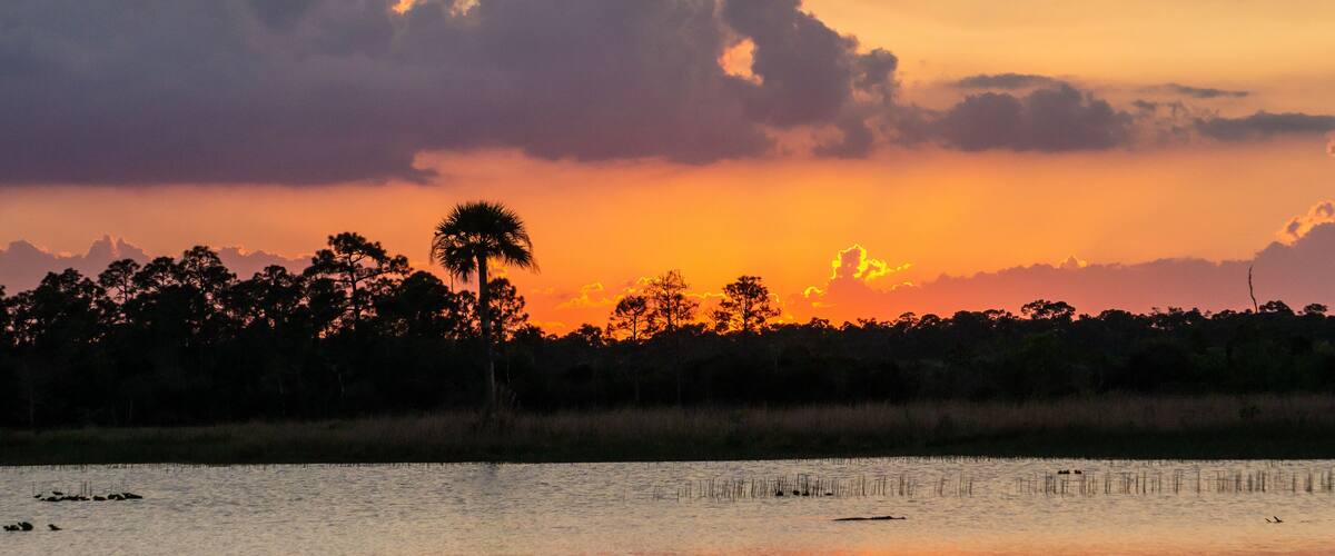 Sunset at Pine Glades Natural Area, Jupiter, Palm Beach County, Florida, USA