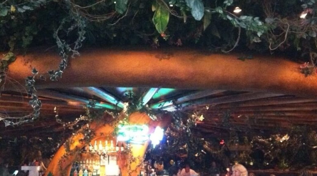 The best place to wait for your wife when she is shopping!! 😄😄