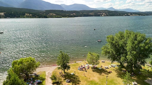 A lake with boats, a grassy area with people, and mountains in the background.