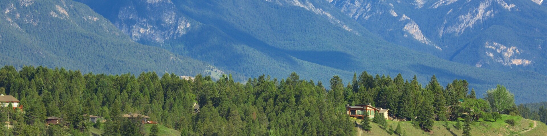 Lake Windermere som inkluderar stillsam natur, berg och en sjö eller ett vattenhål
