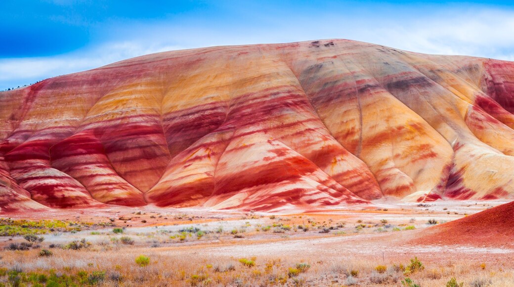 Colorful clay hills in the Painted Hills of Oregon