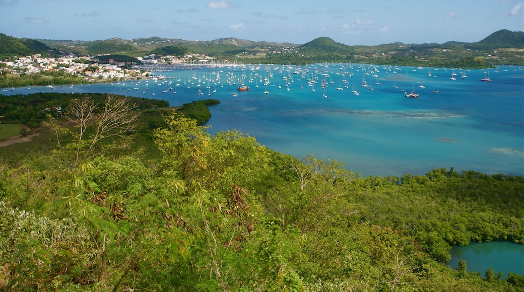 Marina Cul de Sac du Marin Le Marin Martinique Caraibes 12