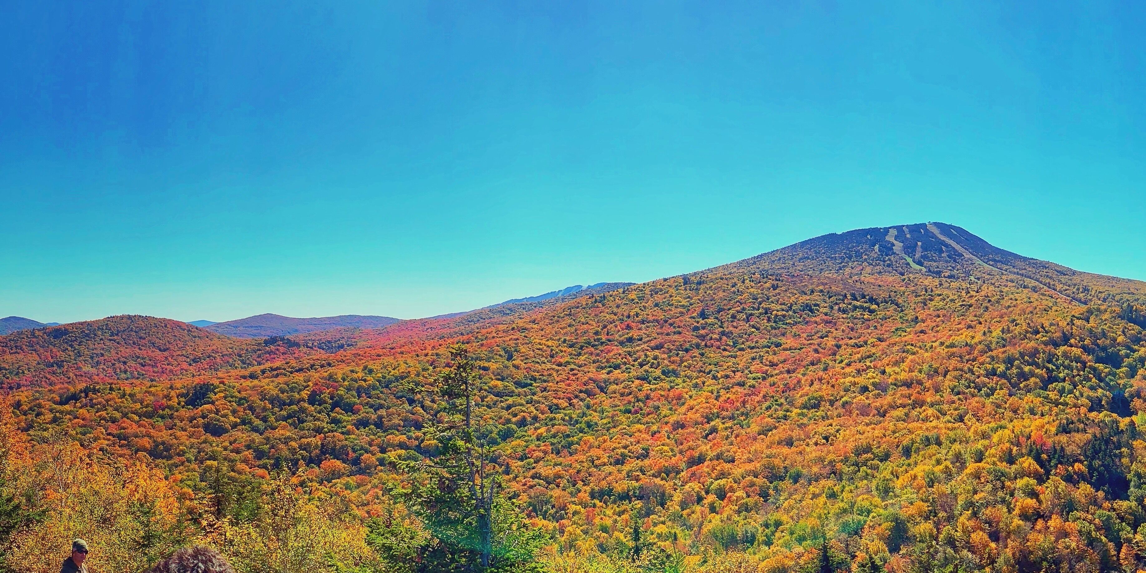 #autumn #fallfoliage #nature #leafpeeping