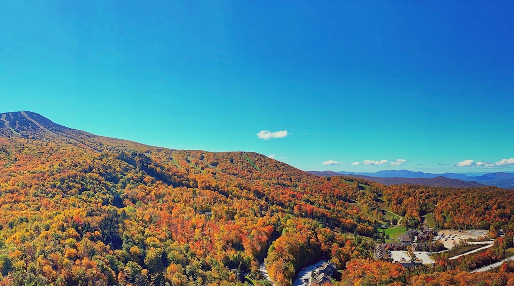 #autumn #fallfoliage #nature #leafpeeping
