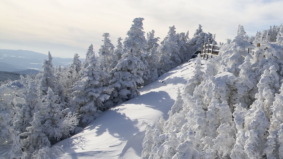 Portrait of a hill at the top of mountain in Vermont during winter.; Shutterstock ID 23510968
