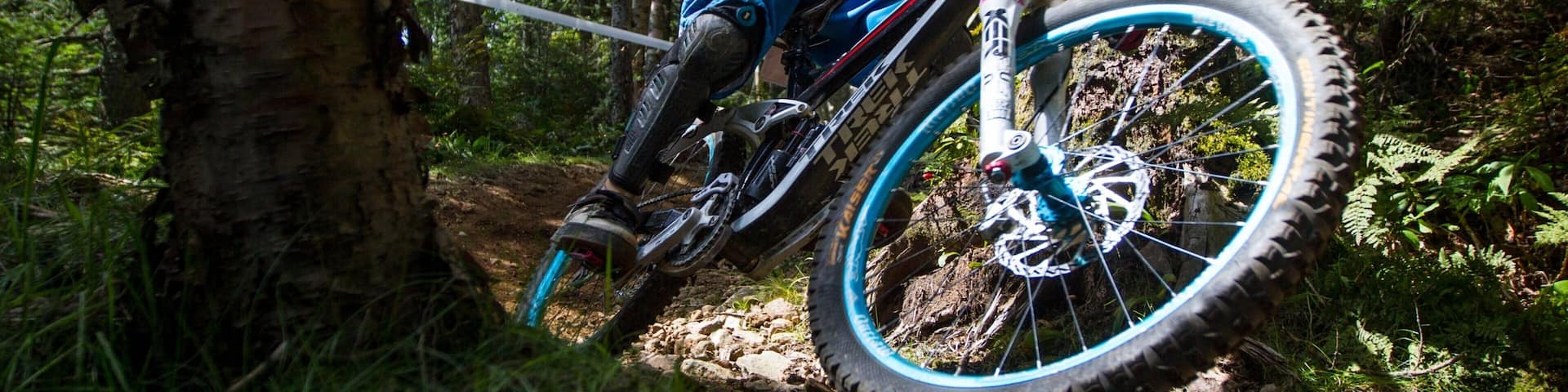 Killington featuring forest scenes and mountain biking as well as an individual male