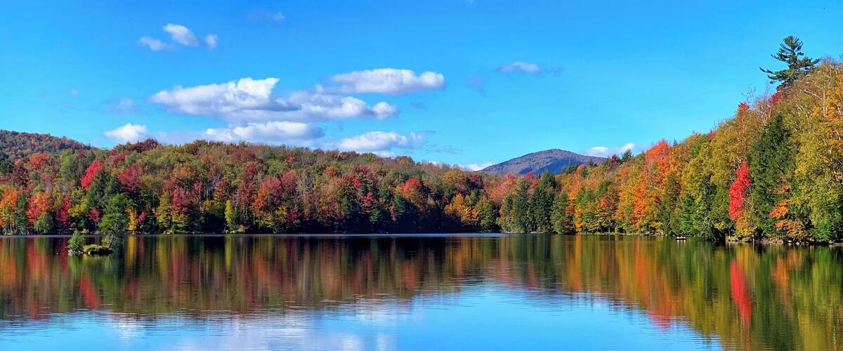 #autumn #fallfoliage #nature #leafpeeping