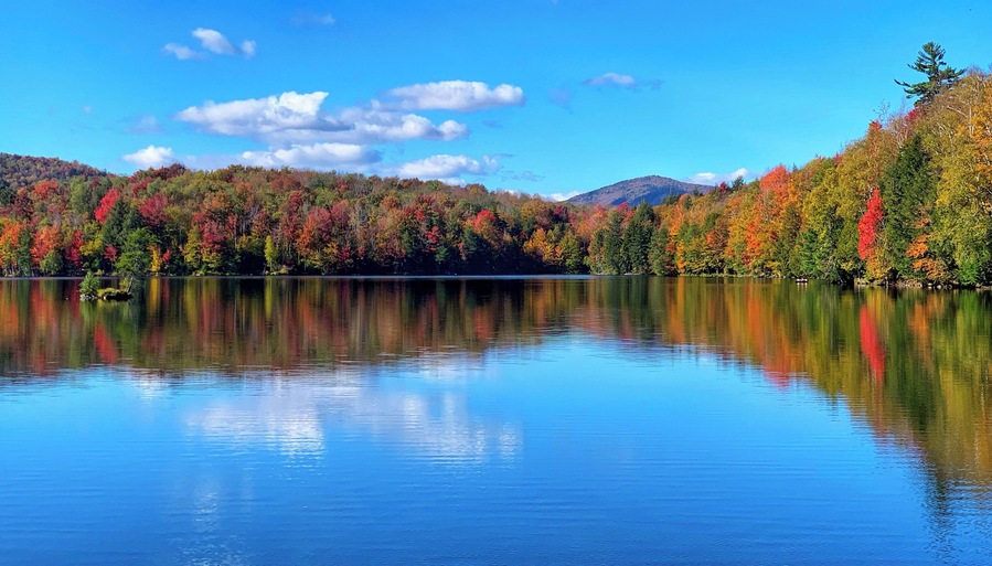 #autumn #fallfoliage #nature #leafpeeping