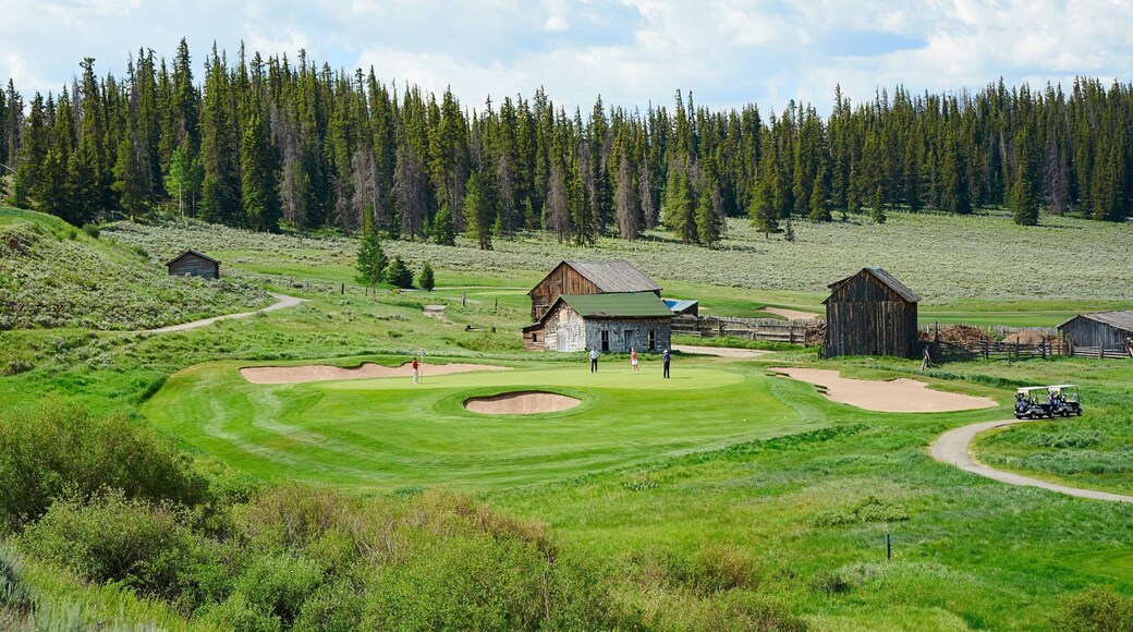 キーストーン フィーチャー ゴルフ と 森林