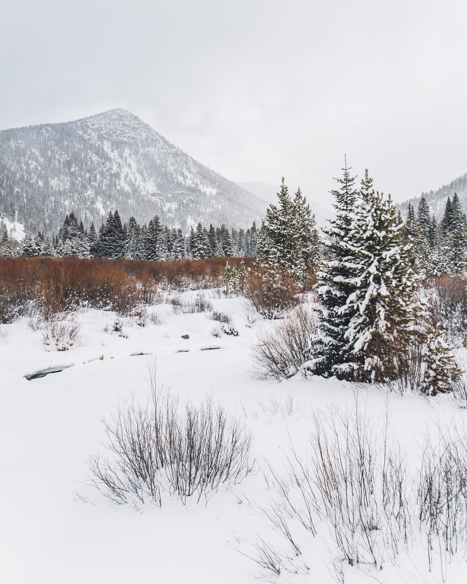 Winter wonderland not far from the river run gondola... just follow the river east a hindered yards or so!