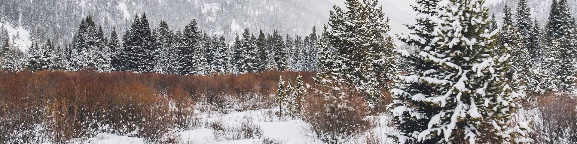 Winter wonderland not far from the river run gondola... just follow the river east a hindered yards or so!