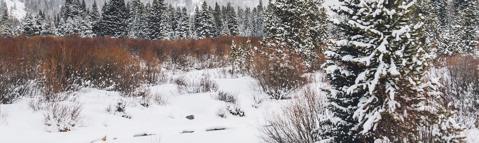 Winter wonderland not far from the river run gondola... just follow the river east a hindered yards or so!