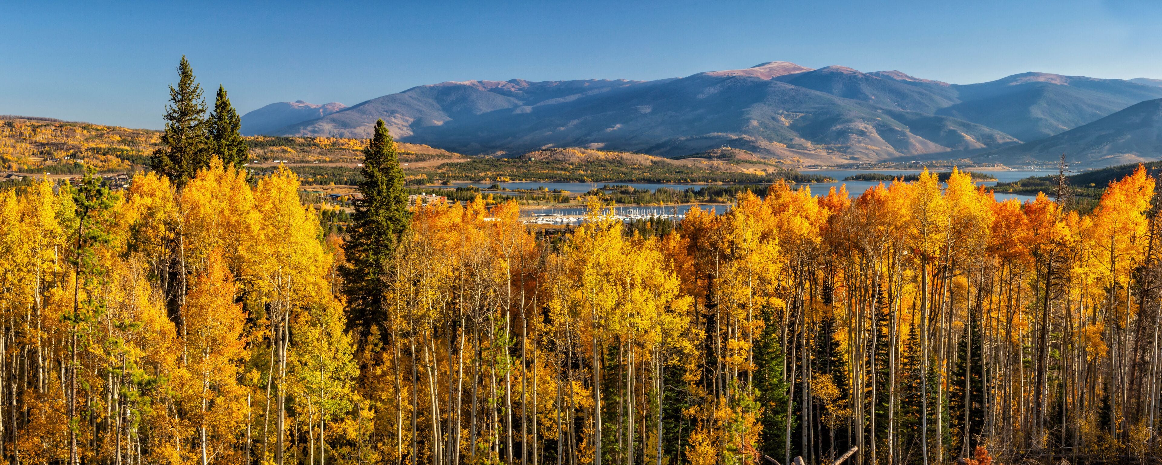 A forest with autumn foliage, a lake, and mountains in the background.