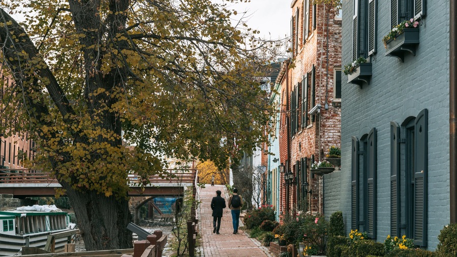 A tree-lined street with brick buildings and a pedestrian bridge.