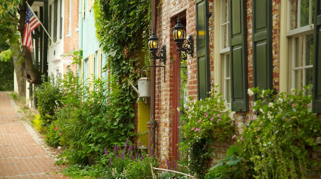 Georgetown inclusief een stad, historische architectuur en een huis