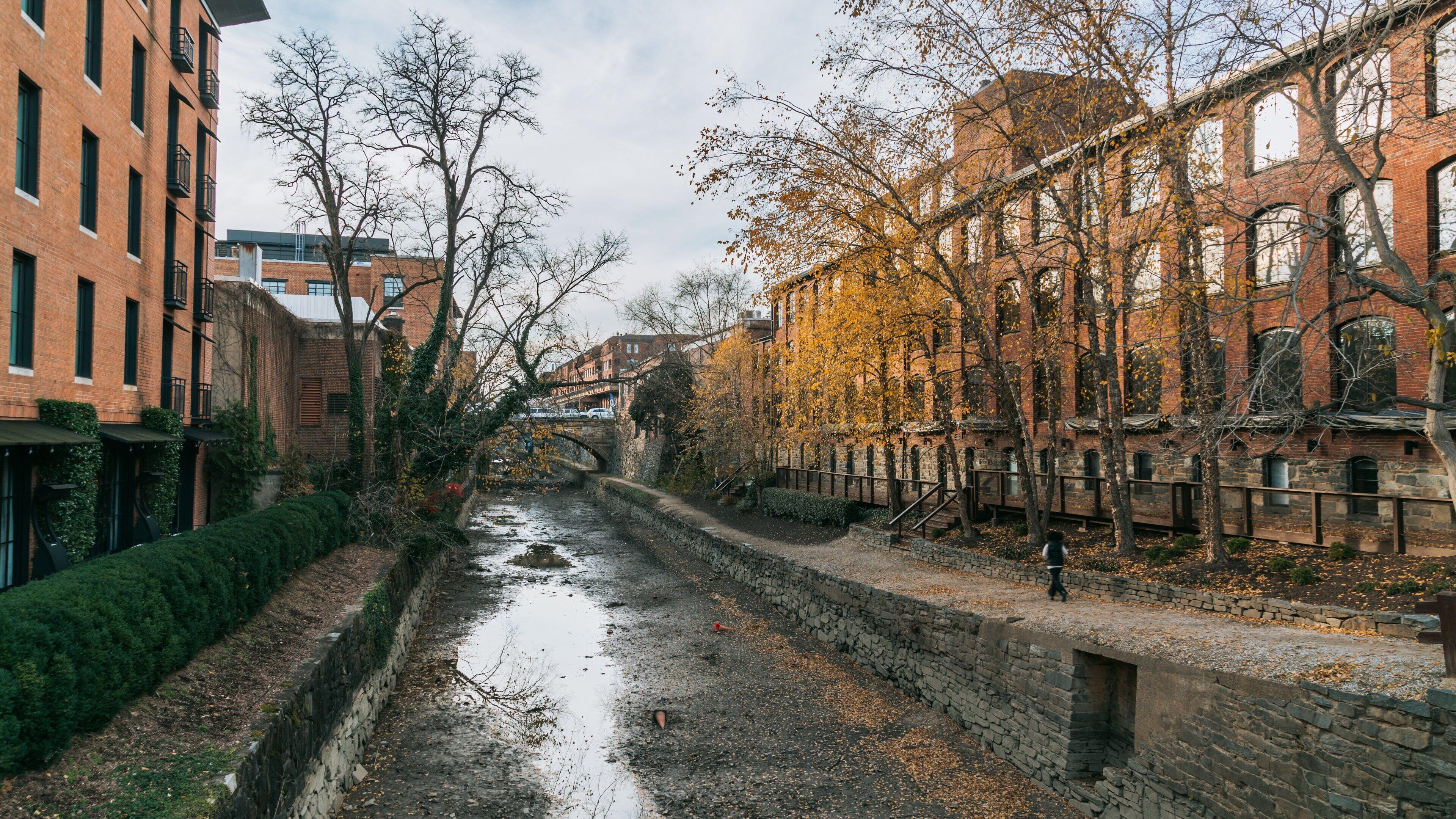 Georgetown showing a river or creek