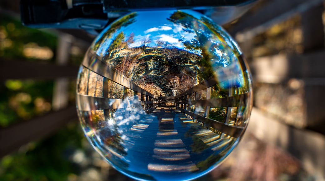 The footbridge at the Lone Pine Visitors Center creates some nice lines when viewed through a Lensball.