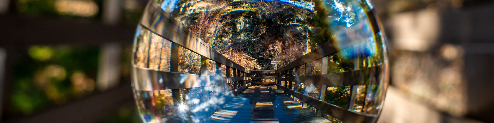 Espejo esférico que refleja un sendero con barandas de madera y árboles.