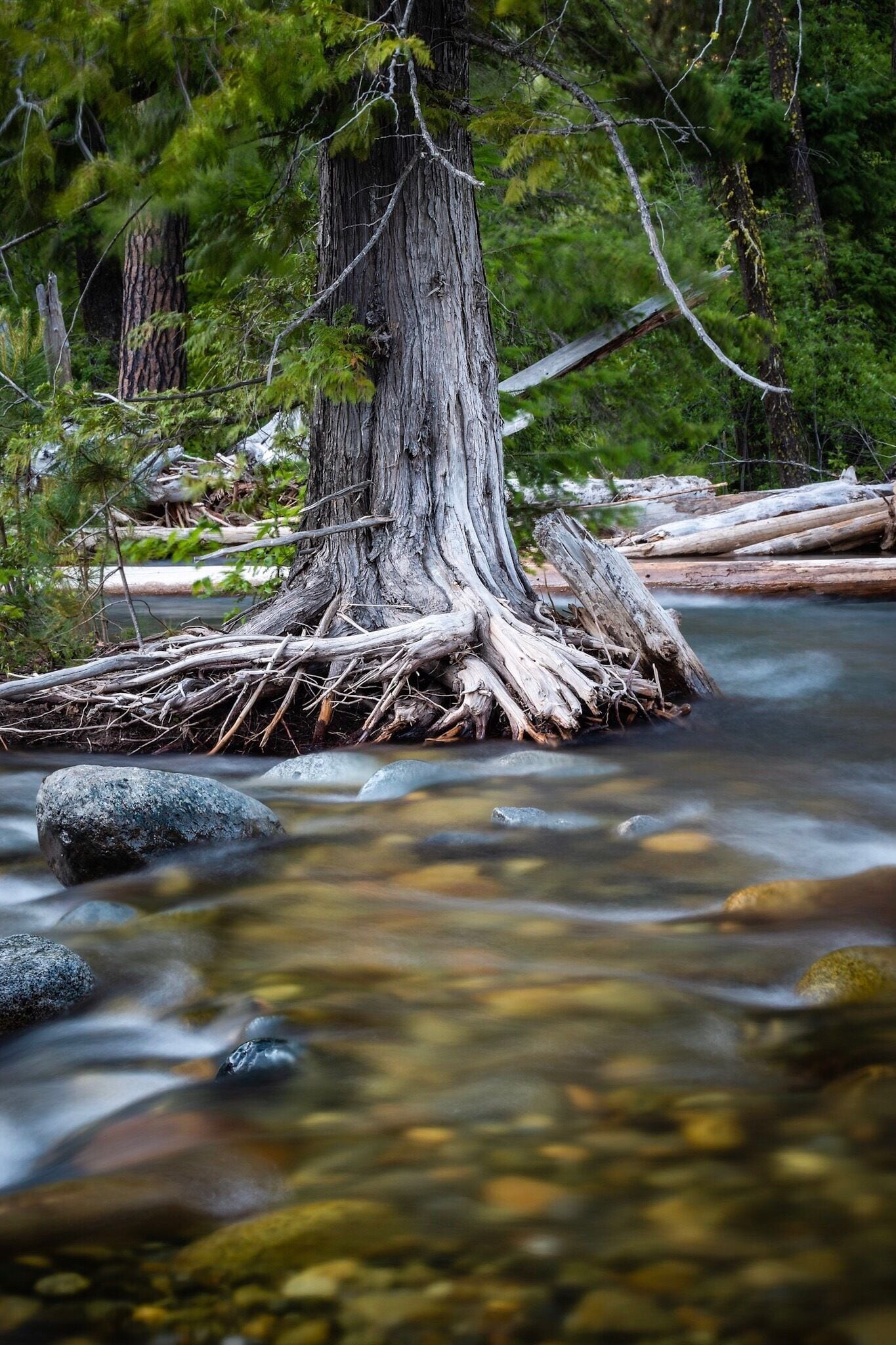 easy hike with great views of Icicle Creek.

Icicle gorge trail

#camping #hiking #pacificnorthwest 