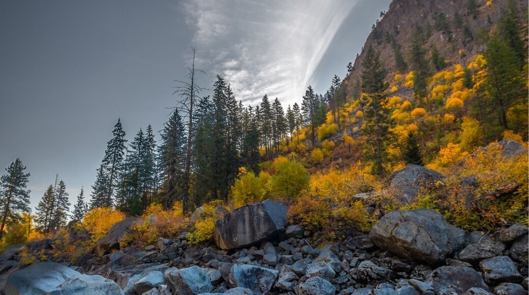 A cloudless fall morning on the Wenatchee River near Leavenworth, the sky broken by a spreading contrail at sunrise.