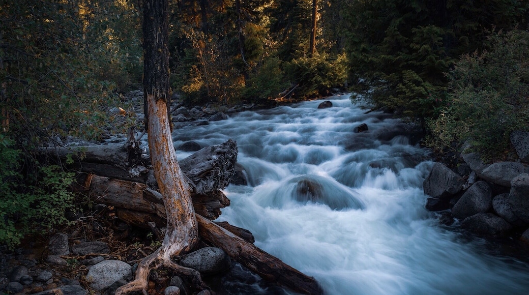 Nice easy hike with great views of Icicle Creek.
Icicle gorge trail
#camping #hiking #pacificnorthwest