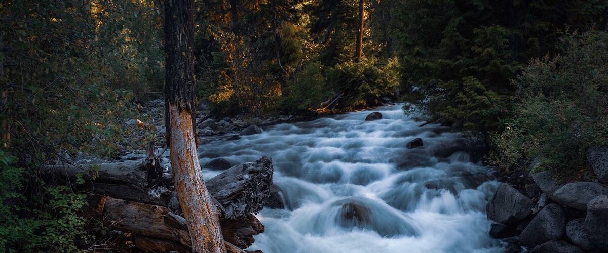 Nice easy hike with great views of Icicle Creek.
Icicle gorge trail
#camping #hiking #pacificnorthwest