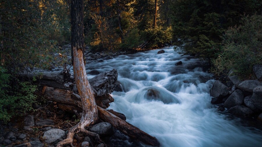 Nice easy hike with great views of Icicle Creek.
Icicle gorge trail
#camping #hiking #pacificnorthwest