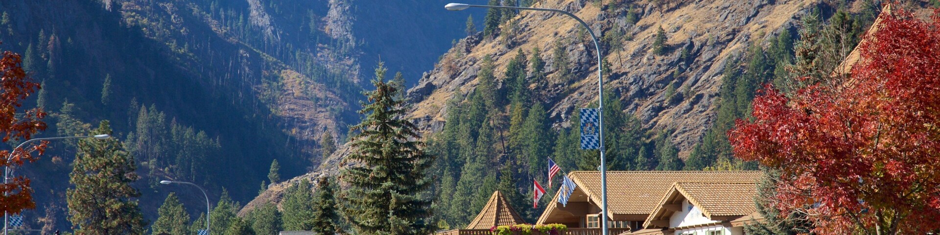 Leavenworth featuring street scenes