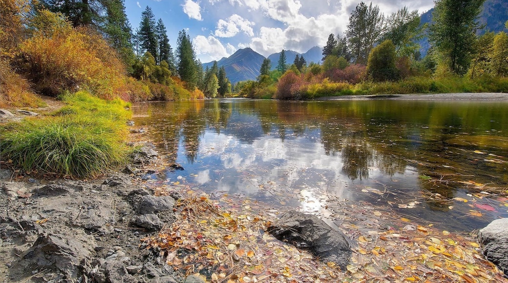 A #Golden moment in autumn at Icicle Creek near the town of Leavenworth in Washington State. This tiny creek will eventually join the confluence of the Wenatchee River.