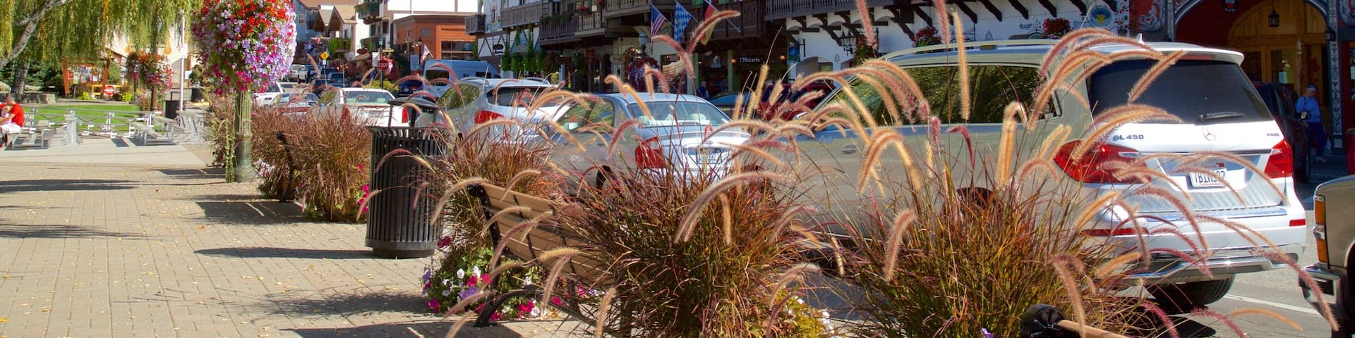 Leavenworth featuring street scenes