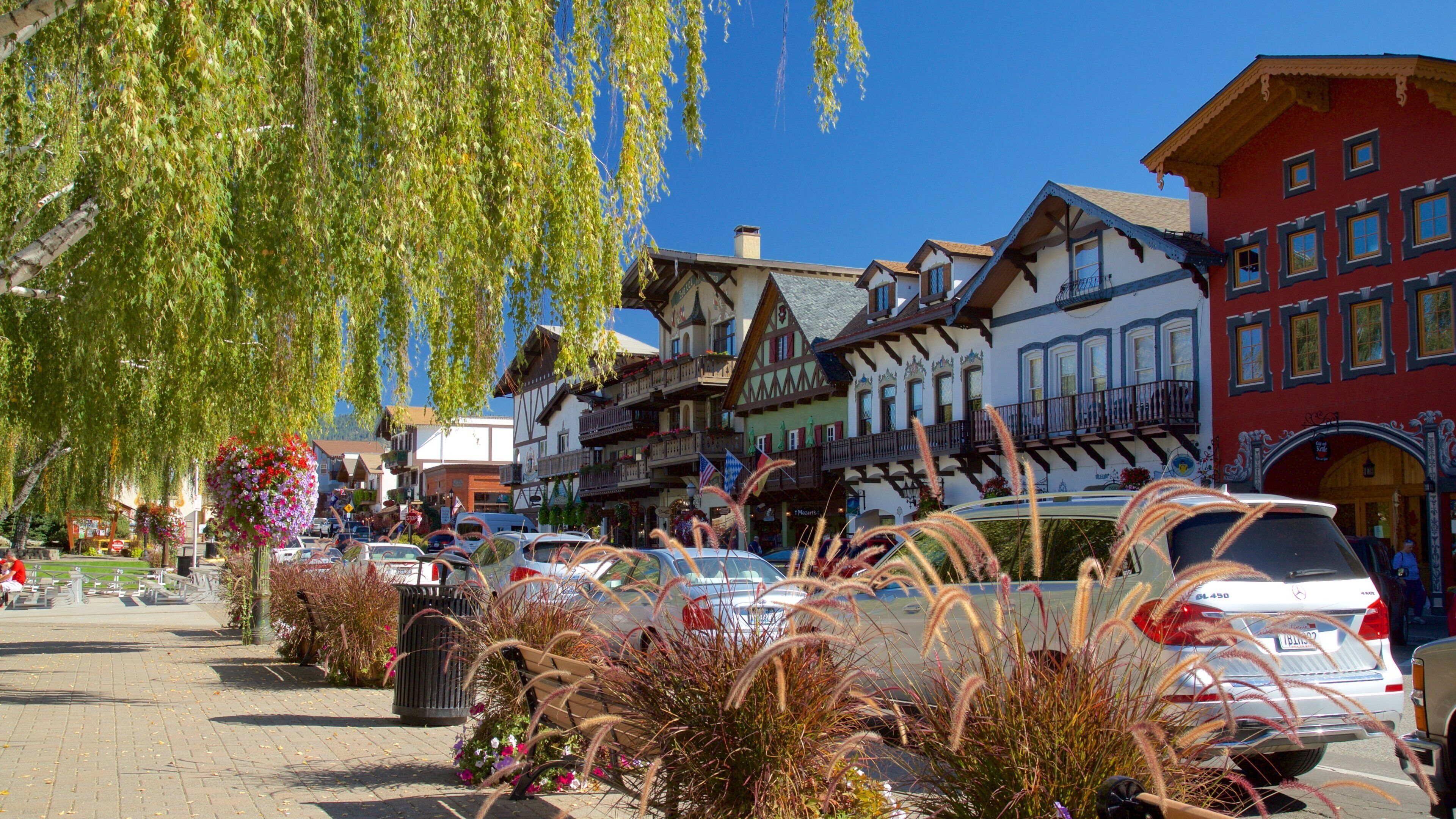 A European town square with traditional half-timbered buildings, parked cars, and decorative plants.