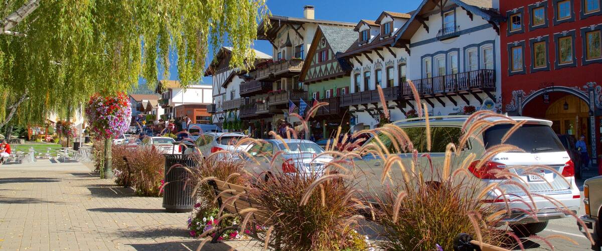 A European town square with traditional half-timbered buildings, parked cars, and decorative plants.