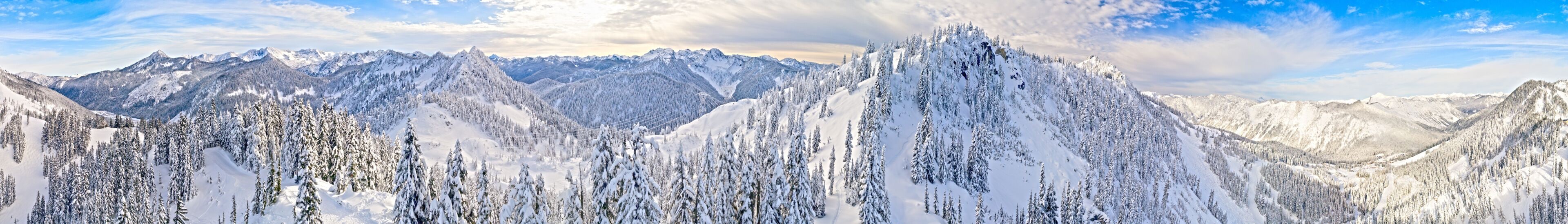 A panoramic view of snow-covered mountains with dense forests and a clear sky.