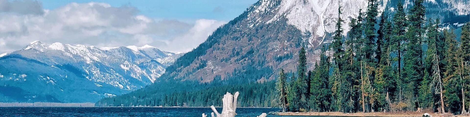 Spring is Here #mountains #colorful #pets #animal #spring