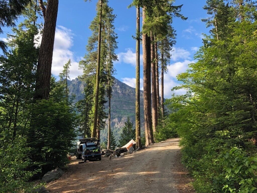 Right on the shore of Lake Wenatchee. The trailhead for "Hidden Lake," a nice, relatively easy hike, is right at the edge of the campground. #camping #hiking