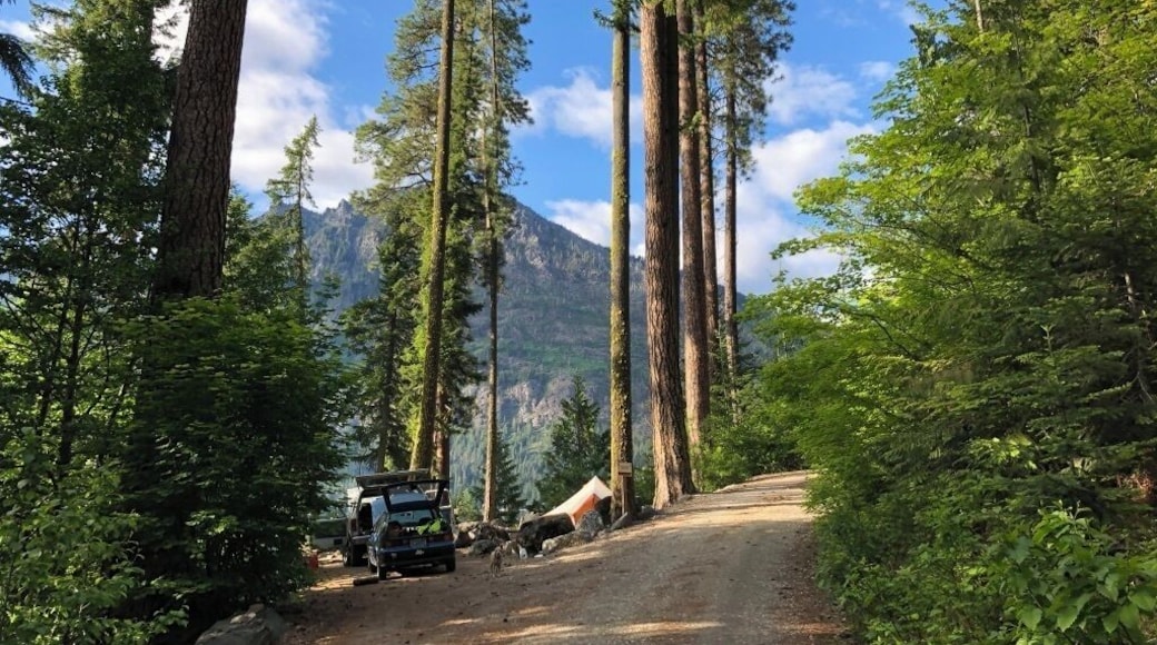 Right on the shore of Lake Wenatchee. The trailhead for "Hidden Lake," a nice, relatively easy hike, is right at the edge of the campground. #camping #hiking