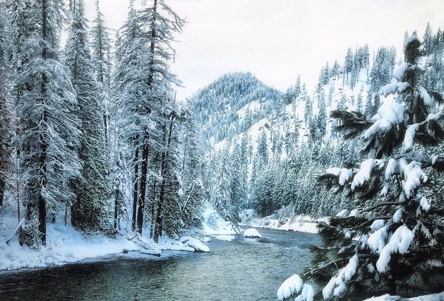 แม่น้ําเวนาชี