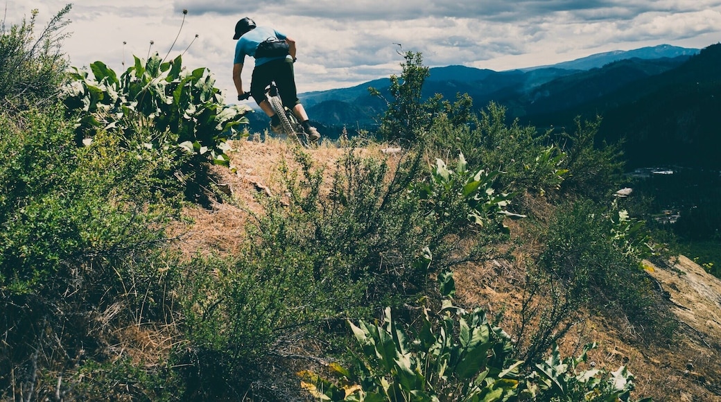 #mountainbiking
#pnw #pacificnorthwest
#mtbphotos
#lifeon2wheels
#getoutsidegetdirty
Getting out and enjoying my two favorite hobbies.