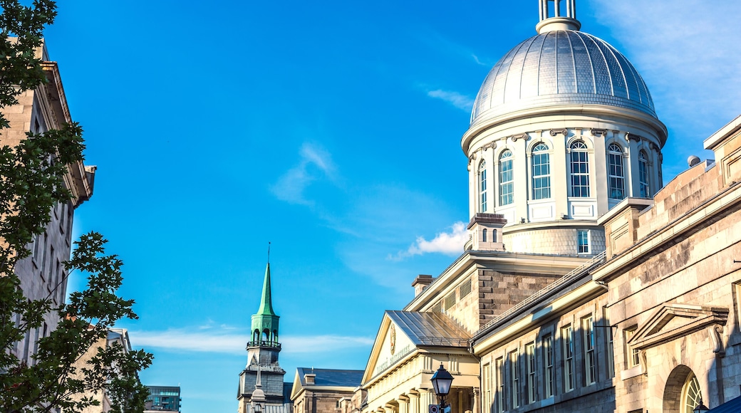 بورت كارتير