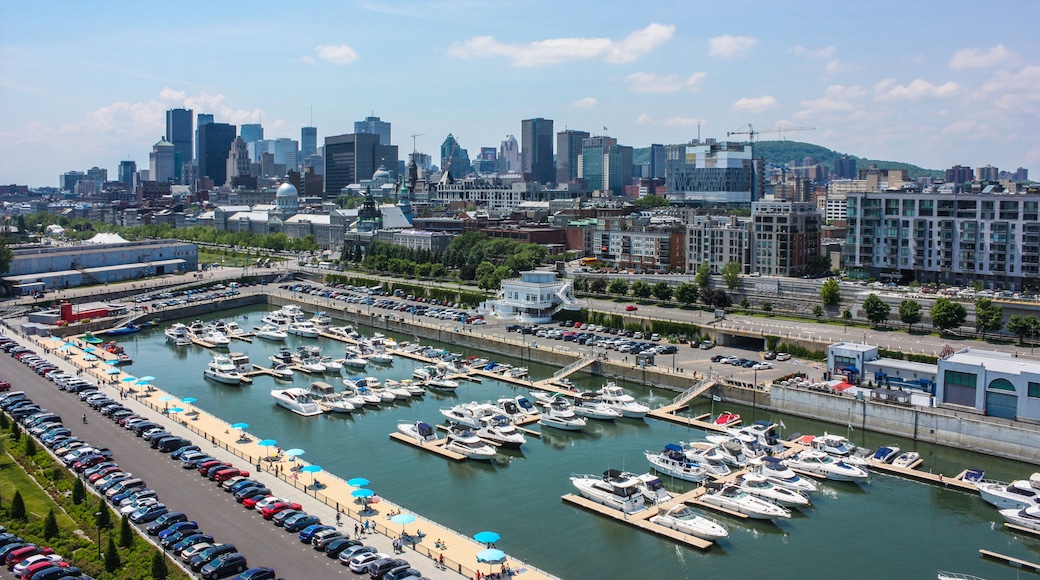 بورت كارتير