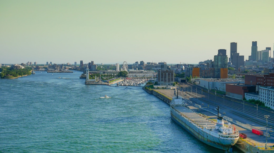 بورت كارتير