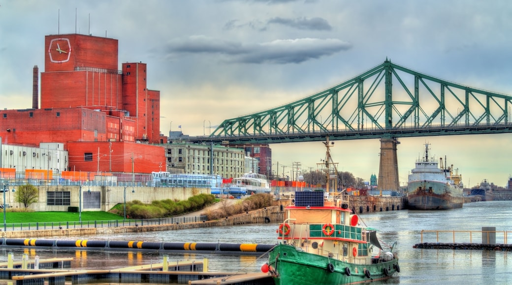 بورت كارتير