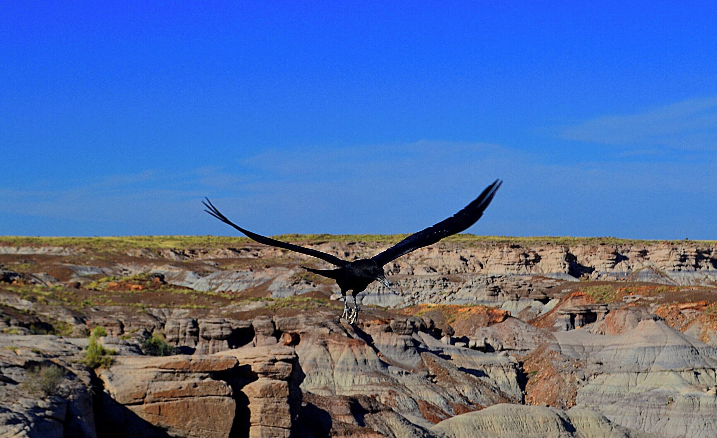 The view is of the Painted Desert which is part of the Petrified Forest National Park. 