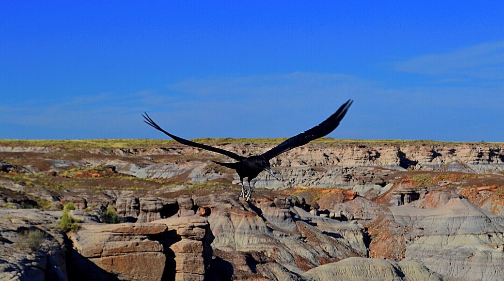 The view is of the Painted Desert which is part of the Petrified Forest National Park.